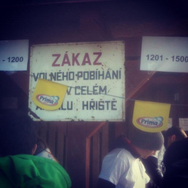 ZÁKAZ volného pobíhání v celém areálu hřiště :D