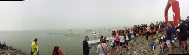 Start sprintu. Mlíko, kam se podíváš. Pak bylo ale krásně...