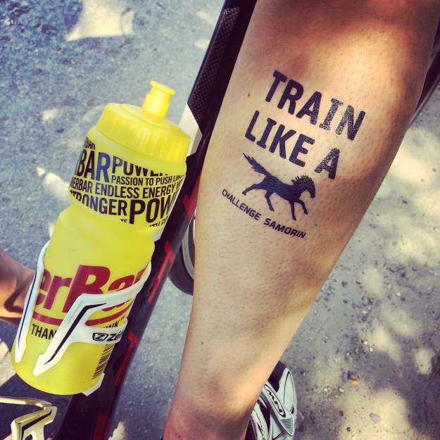 Kůň všude. To je Challenge Šamorín