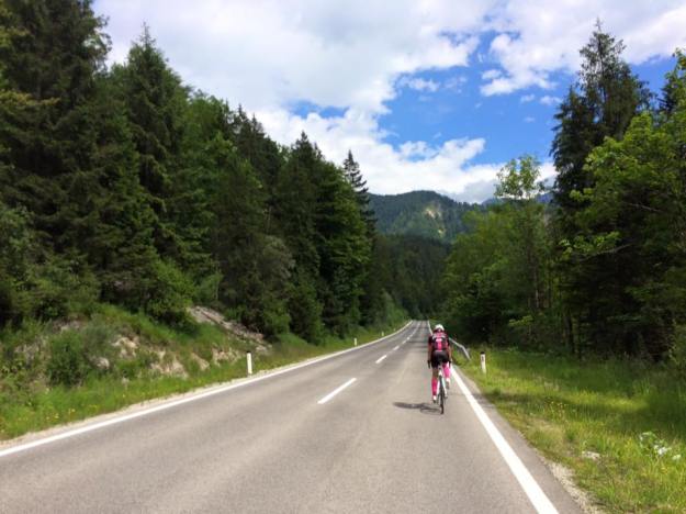 13615144_10208687385295503_5573911482277238437_n