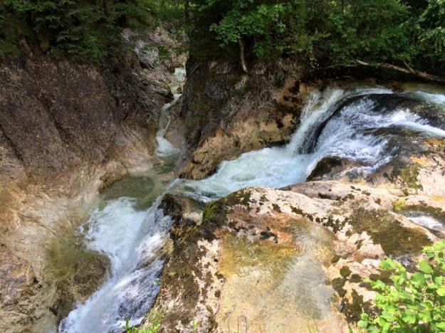 13615144_10208687385375505_9185114574009522572_n