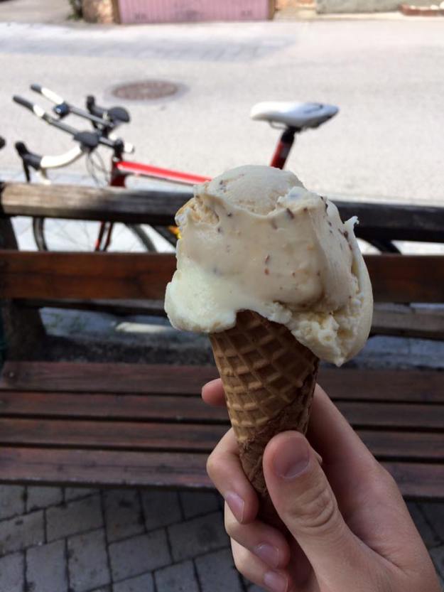 13620931_10208687384855492_2122240161153436259_n